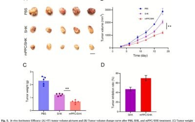 Glutathione-responsive polypeptide nanogel encapsulates Shikonin forbreast cancer therapy